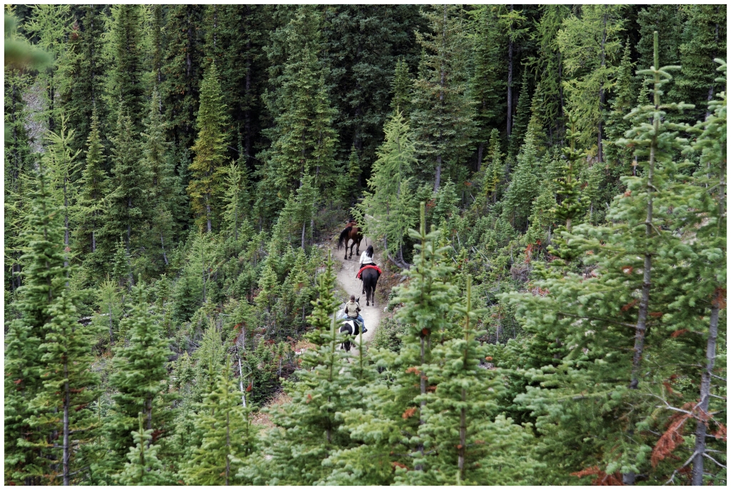 07 - Banff NP (29).jpg